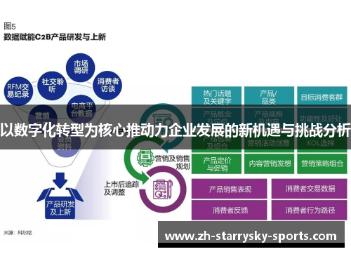 以数字化转型为核心推动力企业发展的新机遇与挑战分析