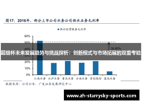 超级杯未来发展趋势与挑战探析：创新模式与市场拓展的双重考验