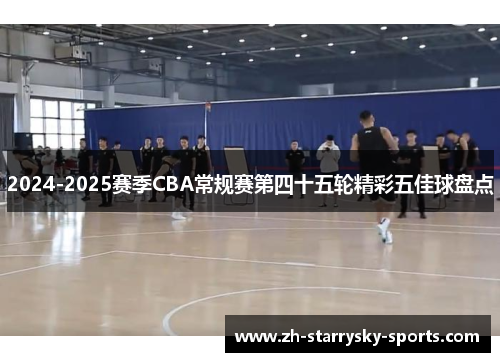 2024-2025赛季CBA常规赛第四十五轮精彩五佳球盘点
