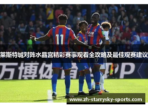 莱斯特城对阵水晶宫精彩赛事观看全攻略及最佳观赛建议