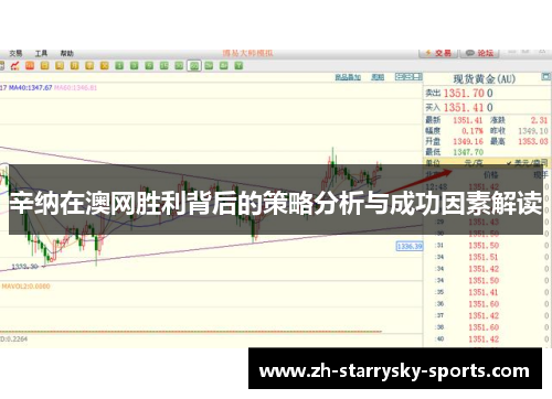 辛纳在澳网胜利背后的策略分析与成功因素解读