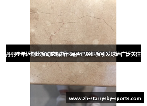 丹羽孝希近期比赛动态解析他是否已经退赛引发球迷广泛关注